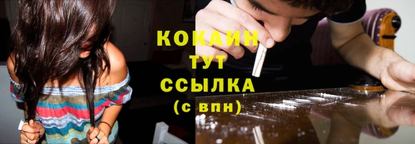 гидропоника Бикин